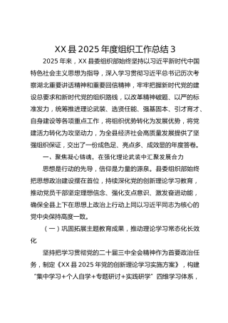 xx县2025年度组织工作总结3