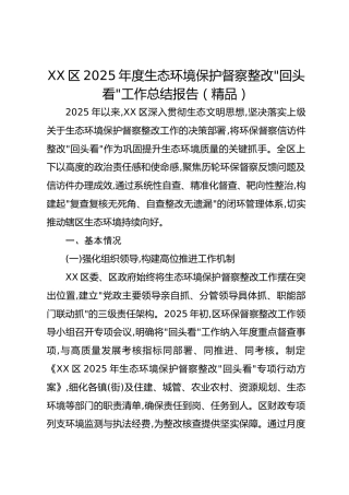 xx区2025年度生态环境保护督察整改“回头看”工作总结报告