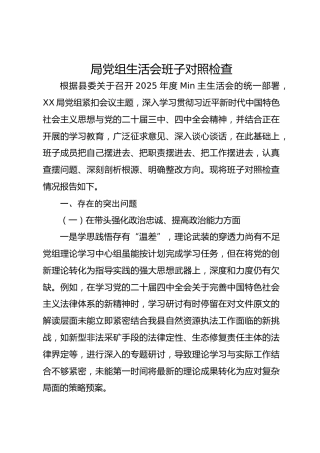 局党组生活会班子对照检查