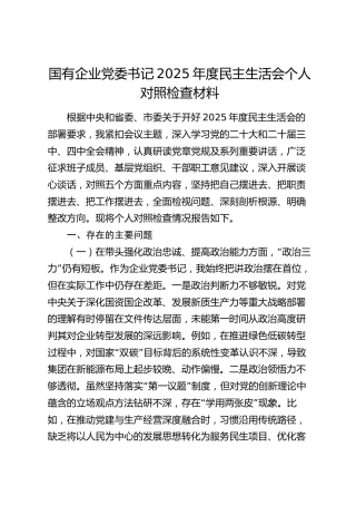 国有企业党委书记2025年度民主生活会个人对照检查材料
