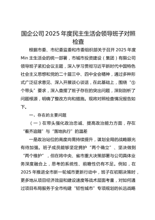 国企公司2025年度民主生活会领导班子对照检查