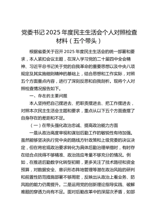 党委书记2025年度民主生活会个人对照检查材料（五个带头）_1