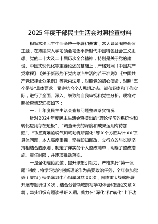 2025年度干部民主生活会对照检查材料_1