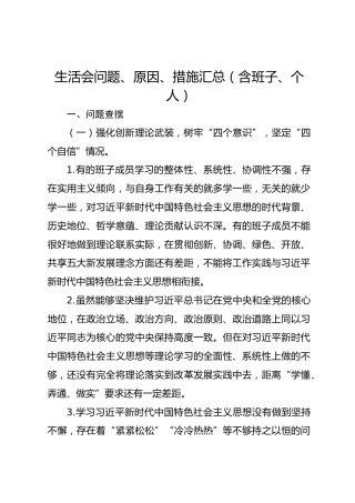 生活会问题、原因、措施汇总（含班子、个人）