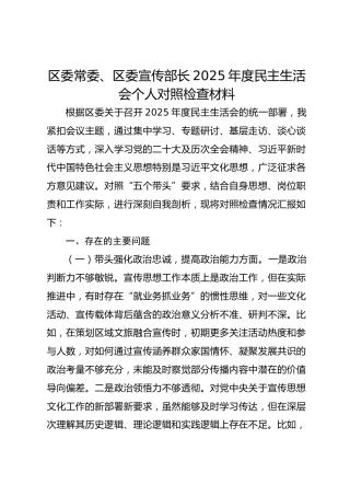 区委常委、区委宣传部长2025年度民主生活会个人对照检查材料