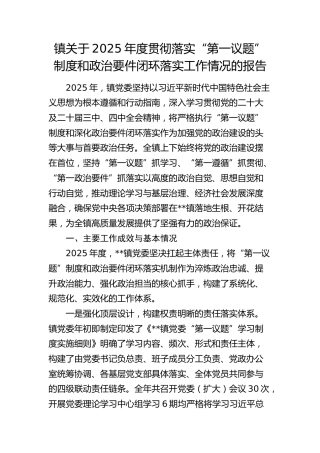 乡镇关于2025年度贯彻落实“第一议题”制度和政治要件闭环落实工作情况的报告