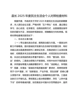 县长2025年度民主生活会个人对照检查材料（五个带头）（2）