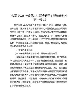 公司2025年度民主生活会班子对照检查材料(五个带头)（2）