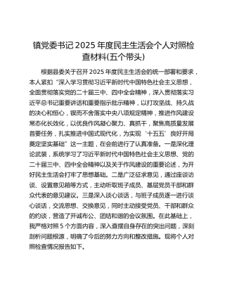 镇党委书记2025年度民主生活会个人对照检查材料(五个带头)