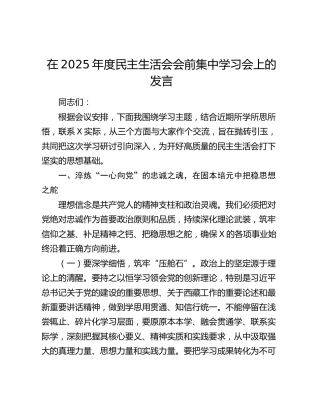 在2025年度民主生活会会前集中学习会上的发言