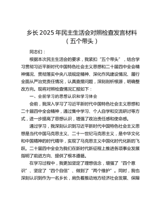 乡长2025年民主生活会对照检查发言材料（五个带头）