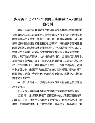 乡党委书记2025年度民主生活会个人对照检查材料（深入贯彻中央八项规定精神学习教育整改整治及以往整改落实情况+五个带头）