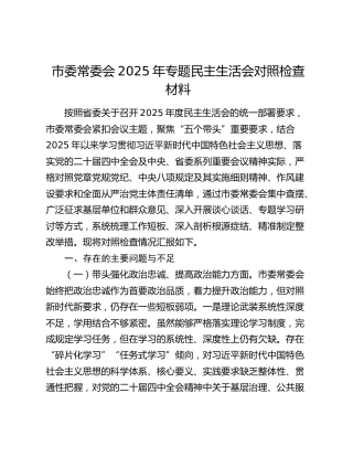 市委常委会2025年专题民主生活会对照检查材料（五个带头）