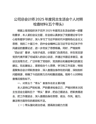 公司总会计师2025年度民主生活会个人对照检查材料(五个带头)