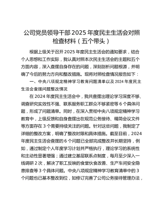 公司党员领导干部2025年度民主生活会对照检查材料（五个带头）
