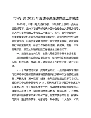 市审计局2025年度述职述廉述党建工作总结