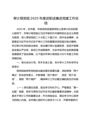 审计局党组2025年度述职述廉述党建工作总结