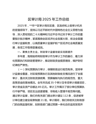 区审计局2025年工作总结