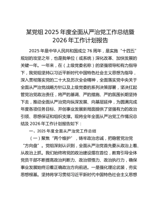 某党组2025年度全面从严治党工作总结暨2026年工作计划报告