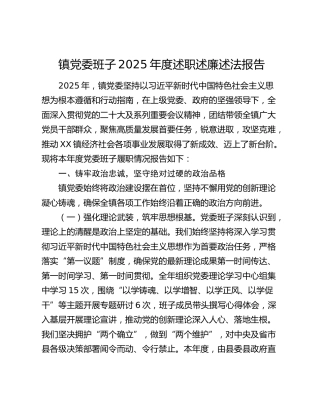 镇党委班子2025年度述职述廉述法报告