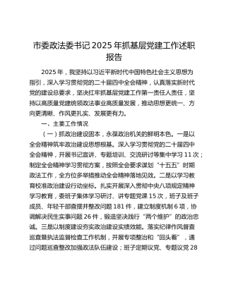 市委政法委书记2025年抓基层党建工作述职报告