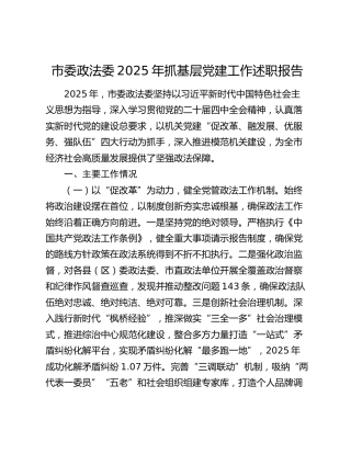 市委政法委2025年抓基层党建工作述职报告