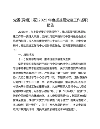 党委(党组)书记2025年度抓基层党建工作述职报告