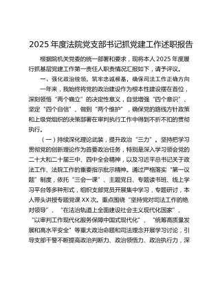 2025年度法院党支部书记抓党建工作述职报告
