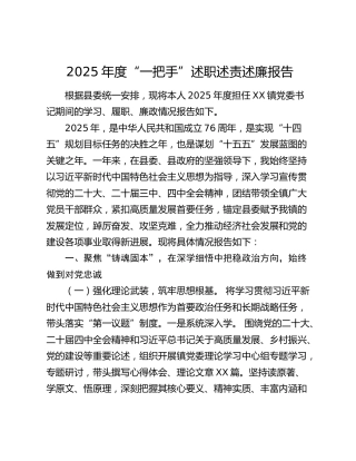 2025年度“一把手”述职述责述廉报告