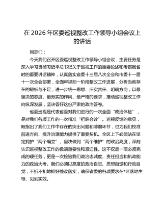 在2026年区委巡视整改工作领导小组会议上的讲话