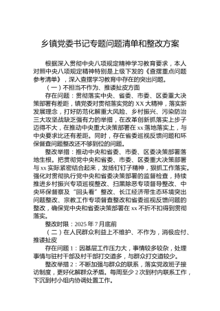 乡镇党委书记专题问题清单和整改方案