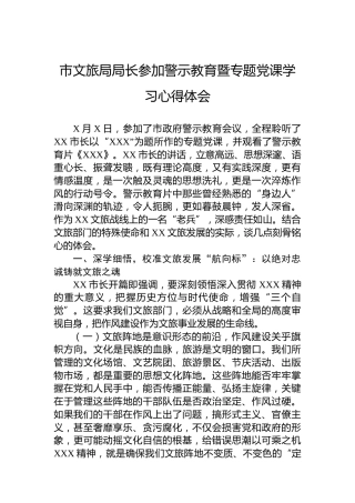 市文旅局局长参加警示教育暨专题党课学习心得体会