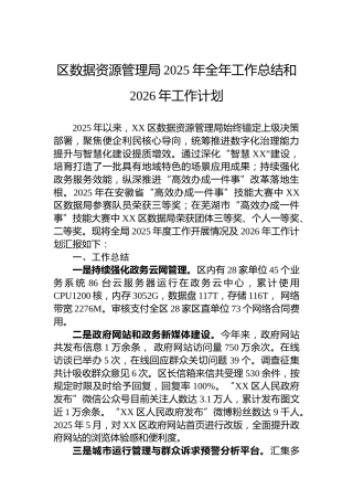 区数据资源管理局2025年全年工作总结和2026年工作计划