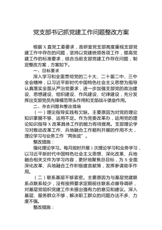 党支部书记抓党建工作问题整改方案
