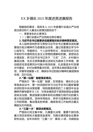 XX乡镇长2025年度述责述廉报告