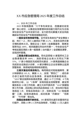 XX市应急管理局2025年度工作总结