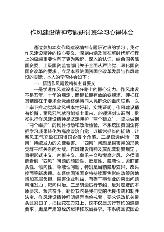 作风建设精神专题研讨班学习心得体会