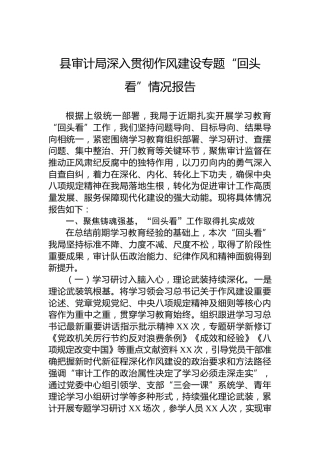 县审计局深入贯彻作风建设专题“回头看”情况报告