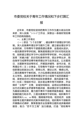 市委党校关于青年工作情况和下步打算汇报