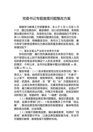 党委书记专题查摆问题整改方案