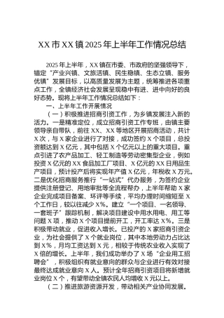 XX市XX镇2025年上半年工作情况总结