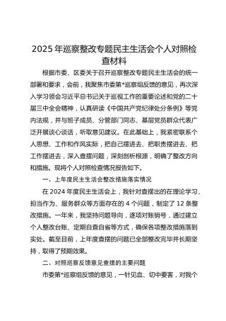 2025年巡察整改专题民主生活会个人对照检查材料