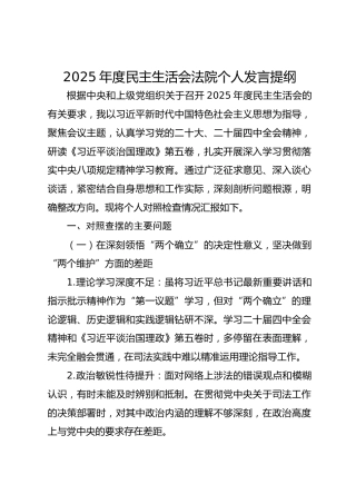2025年度民主生活会法院个人发言提纲