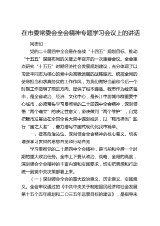 在市委常委会四中全会精神专题学习会议上的讲话（四中）