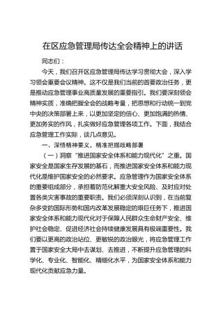 在区应急管理局传达四中全会精神上的讲话（四中）