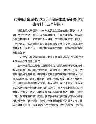市委组织部部长2025年度民主生活会对照检查材料（五个带头）