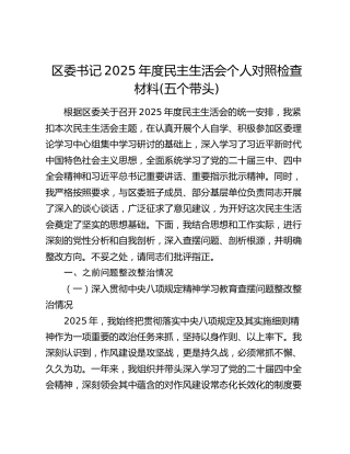 区委书记2025年度民主生活会个人对照检查材料(五个带头)