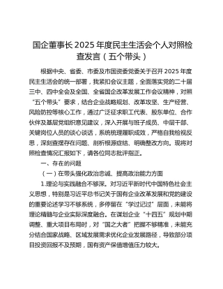 国企董事长2025年度民主生活会个人对照检查发言（五个带头）