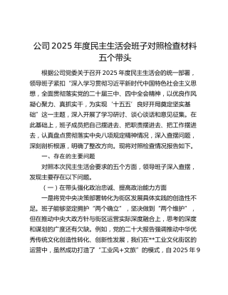 公司2025年度民主生活会班子对照检查材料五个带头
