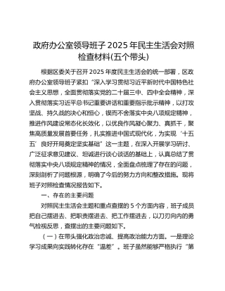 政府办公室领导班子2025年民主生活会对照检查材料(五个带头)